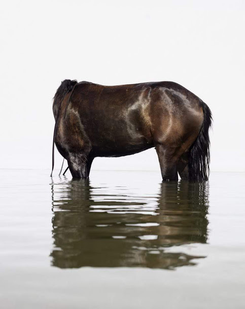 Front (Shikma River, Zikim Beach, Gaza Beach)